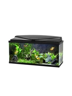 Aquarium 80 Led Cf80 | Worldofanimals.nl Heeft Het!