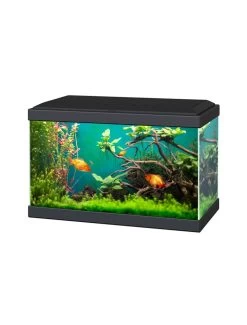 Aquarium Aqua 20 Classic | Worldofanimals.nl Heeft Het!