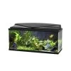 Aquarium Aqua 80 Led Bio Cf150 | Worldofanimals.nl Heeft Het! -Huisdierbenodigdheden Verkoopwinkel aquarium aqua 80 led bio cf150
