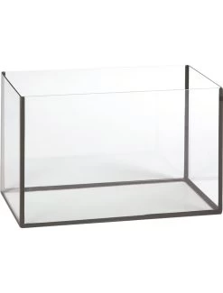 Flamingo Aquarium Basic 40x20x25cm | Worldofanimals.nl Heeft Het!