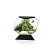 Aquarium Nexus Betta 5c | Worldofanimals.nl Heeft Het! -Huisdierbenodigdheden Verkoopwinkel aquarium nexus betta 5c