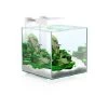Aquarium Nexus Pure 15 Led | Worldofanimals.nl Heeft Het! -Huisdierbenodigdheden Verkoopwinkel aquarium nexus pure 15 led