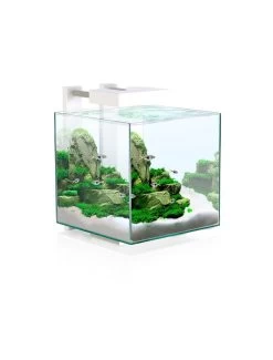 Aquarium Nexus Pure 15 Led | Worldofanimals.nl Heeft Het!