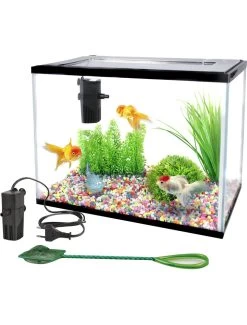 Flamingo Aquariumset Lollipop 16l - 36cm | Worldofanimals.nl Heeft Het! -Huisdierbenodigdheden Verkoopwinkel aquariumset lollipop 16l 36cm 1