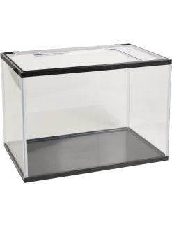 Flamingo Aquariumset Lollipop 16l - 36cm | Worldofanimals.nl Heeft Het! -Huisdierbenodigdheden Verkoopwinkel aquariumset lollipop 16l 36cm 2