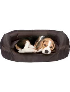 Flamingo Bed Ortho Ovaal Teflon Br 120x72cm | Worldofanimals.nl Heeft Het! 9 Flamingo Bed Ortho Ovaal Teflon Br 120x72cm | Worldofanimals.nl Heeft Het! -Huisdierbenodigdheden Verkoopwinkel bed ortho ovaal teflon br 120x72cm 3