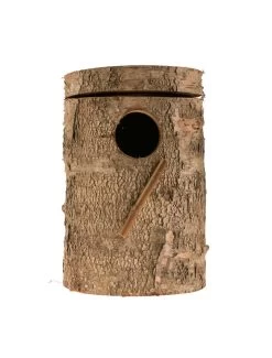 Duvo Berkenblok Valkparkiet | Worldofanimals.nl Heeft Het!