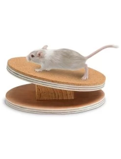 Flamingo Bogie Disc Houten Loopsch+kurk 16cm | Worldofanimals.nl Heeft Het! -Huisdierbenodigdheden Verkoopwinkel bogie disc houten loopschkurk 16cm 4