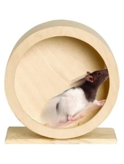 Flamingo Bogie Rad Houten Wonderland 20cm | Worldofanimals.nl Heeft Het! 7 Flamingo Bogie Rad Houten Wonderland 20cm | Worldofanimals.nl Heeft Het! -Huisdierbenodigdheden Verkoopwinkel bogie rad houten wonderland 20cm 2