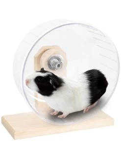 Flamingo Bogie Wiel Plastic M 18 Cm | Worldofanimals.nl Heeft Het! 9 Flamingo Bogie Wiel Plastic M 18 Cm | Worldofanimals.nl Heeft Het! -Huisdierbenodigdheden Verkoopwinkel bogie wiel plastic m 18 cm 3