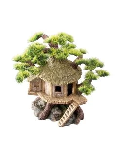 Bonsai House | Worldofanimals.nl Heeft Het!