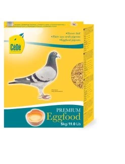 Cede Eivoer Duif | Worldofanimals.nl Heeft Het!