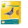 Cede Omega Plus Form 3-6-9 | Worldofanimals.nl Heeft Het! -Huisdierbenodigdheden Verkoopwinkel cede omega plus form 3 6 9