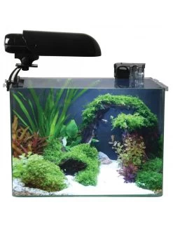 Cocoon Aquarium Nr 4 Leeg | Worldofanimals.nl Heeft Het!