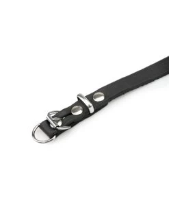 Karlie COLLAR RONDO 57CM 25MM BLACK VERST/ADJ 42-52CM -Huisdierbenodigdheden Verkoopwinkel collar rondo 57cm 25mm black verst adj 42 52cm 3