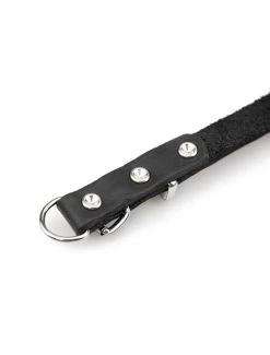 Karlie COLLAR RONDO 57CM 25MM BLACK VERST/ADJ 42-52CM -Huisdierbenodigdheden Verkoopwinkel collar rondo 57cm 25mm black verst adj 42 52cm 4