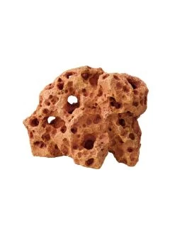 Colorado Rock | 4 | Worldofanimals.nl Heeft Het!