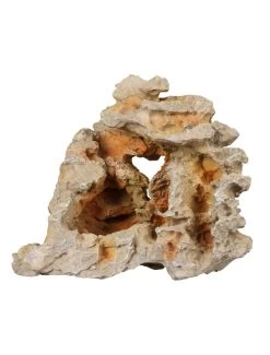 Crag | Worldofanimals.nl Heeft Het!