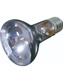 Flamingo Daglichtspot Daylight Beam - 100w | Worldofanimals.nl Heeft Het!