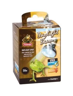 Flamingo Daglichtspot Daylight Beam - 50w | Worldofanimals.nl Heeft Het! -Huisdierbenodigdheden Verkoopwinkel daglichtspot daylight beam 50w 1