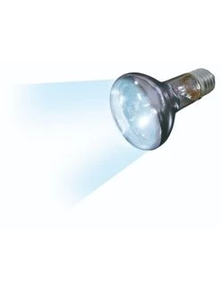 Flamingo Daglichtspot Daylight Beam - 50w | Worldofanimals.nl Heeft Het! -Huisdierbenodigdheden Verkoopwinkel daglichtspot daylight beam 50w 2