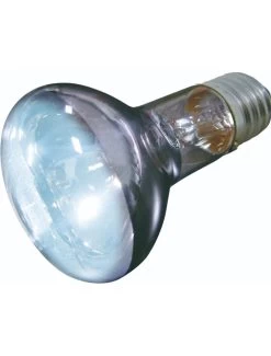 Flamingo Daglichtspot Daylight Beam - 75w | Worldofanimals.nl Heeft Het!