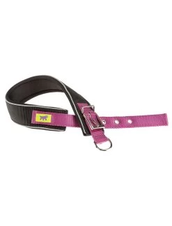 FERPLAST Daytona Comfort Cf40/60 Paars