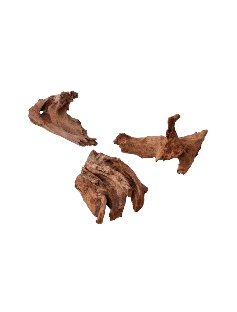 Deco Hout Jati | Worldofanimals.nl Heeft Het! 3 Deco Hout Jati | Worldofanimals.nl Heeft Het!