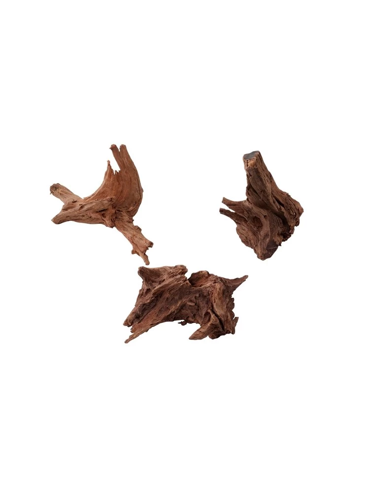 Deco Hout Mango | Worldofanimals.nl Heeft Het! 3 Deco Hout Mango | Worldofanimals.nl Heeft Het!