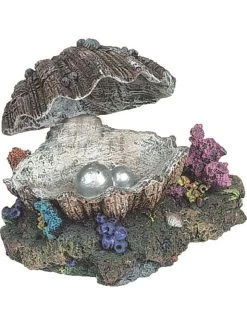 Flamingo Decoratie Schelp (beweging) | Worldofanimals.nl Heeft Het!