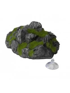 Drijvende Steen Met Zuignap