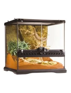 EXO TERRA Ex Glas Terrarium Incl Achterwand | Worldofanimals.nl Heeft Het!
