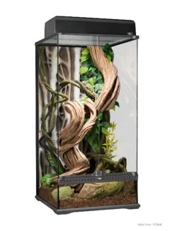 EXO TERRA Ex Rainforest Terrarium Small X-tall | Worldofanimals.nl Heeft Het!