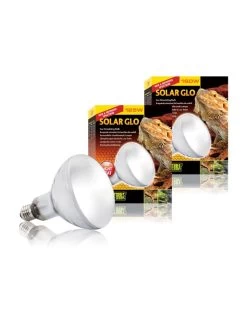 EXO TERRA Ex Solar Glo Warmte- En Uvb-lamp 125w | Worldofanimals.nl Heeft Het!