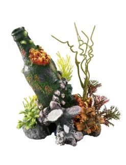 Galeon Wreck | Worldofanimals.nl Heeft Het!