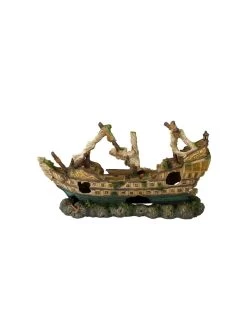 Galleon | Worldofanimals.nl Heeft Het!