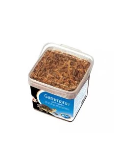 Duvo Gammarus Emmer Grof | Worldofanimals.nl Heeft Het!