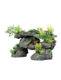 Go Through | Worldofanimals.nl Heeft Het!