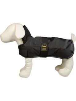 Flamingo Hondenjas Eisbeer 20cm Zwart | Worldofanimals.nl Heeft Het! 9 Flamingo Hondenjas Eisbeer 20cm Zwart | Worldofanimals.nl Heeft Het! -Huisdierbenodigdheden Verkoopwinkel hondenjas eisbeer 20cm zwart 1