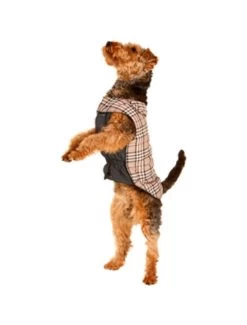 Flamingo Hondenjas English Style 48cm | Worldofanimals.nl Heeft Het! -Huisdierbenodigdheden Verkoopwinkel hondenjas english style 48cm 2