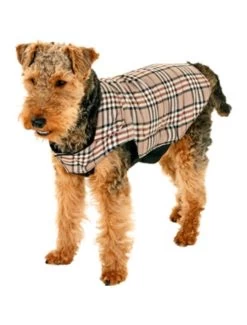 Flamingo Hondenjas English Style 48cm | Worldofanimals.nl Heeft Het! -Huisdierbenodigdheden Verkoopwinkel hondenjas english style 48cm 4