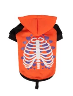 Flamingo Hondentrui Ríntgenfoto Led 30cm | Worldofanimals.nl Heeft Het! -Huisdierbenodigdheden Verkoopwinkel hondentrui rintgenfoto led 30cm 1