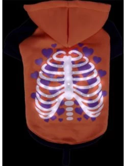 Flamingo Hondentrui Ríntgenfoto Led 30cm | Worldofanimals.nl Heeft Het! -Huisdierbenodigdheden Verkoopwinkel hondentrui rintgenfoto led 30cm 2