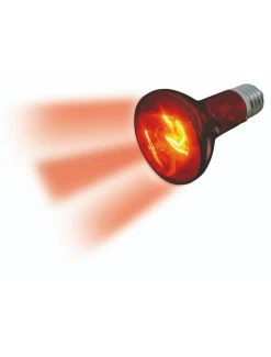 Flamingo Infrarood Spot Infrared Beam - 100w | Worldofanimals.nl Heeft Het! -Huisdierbenodigdheden Verkoopwinkel infrarood spot infrared beam 100w 2