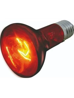 Flamingo Infrarood Spot Infrared Beam - 100w | Worldofanimals.nl Heeft Het!
