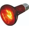 Flamingo Infrarood Spot Infrared Beam - 50w | Worldofanimals.nl Heeft Het! -Huisdierbenodigdheden Verkoopwinkel infrarood spot infrared beam 50w