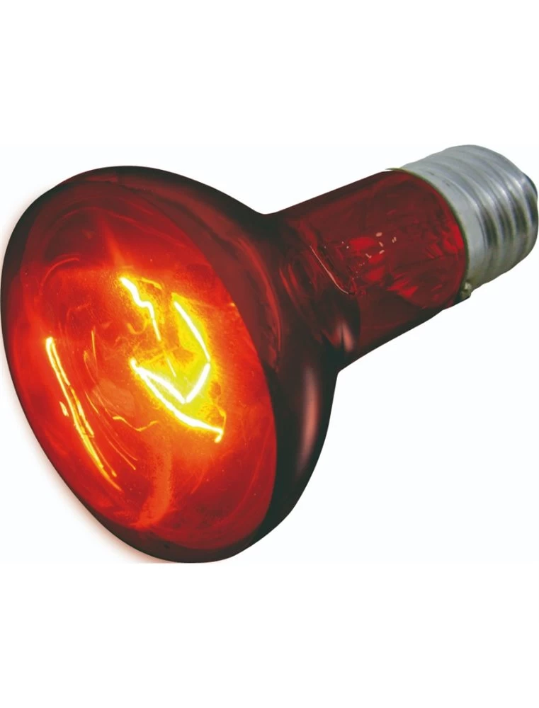 Flamingo Infrarood Spot Infrared Beam - 75w | Worldofanimals.nl Heeft Het! 3 Flamingo Infrarood Spot Infrared Beam - 75w | Worldofanimals.nl Heeft Het!