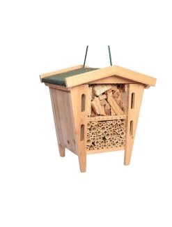 Duvo Insectenhuis Pandora | Worldofanimals.nl Heeft Het!