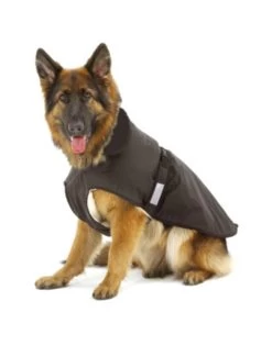 Flamingo Jas 2in1 Pioneer 56cm | Worldofanimals.nl Heeft Het! -Huisdierbenodigdheden Verkoopwinkel jas 2in1 pioneer 56cm 1