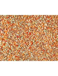 JONGE DUIVEN 2M POPCORN MAIS | Worldofanimals.nl Heeft Het!